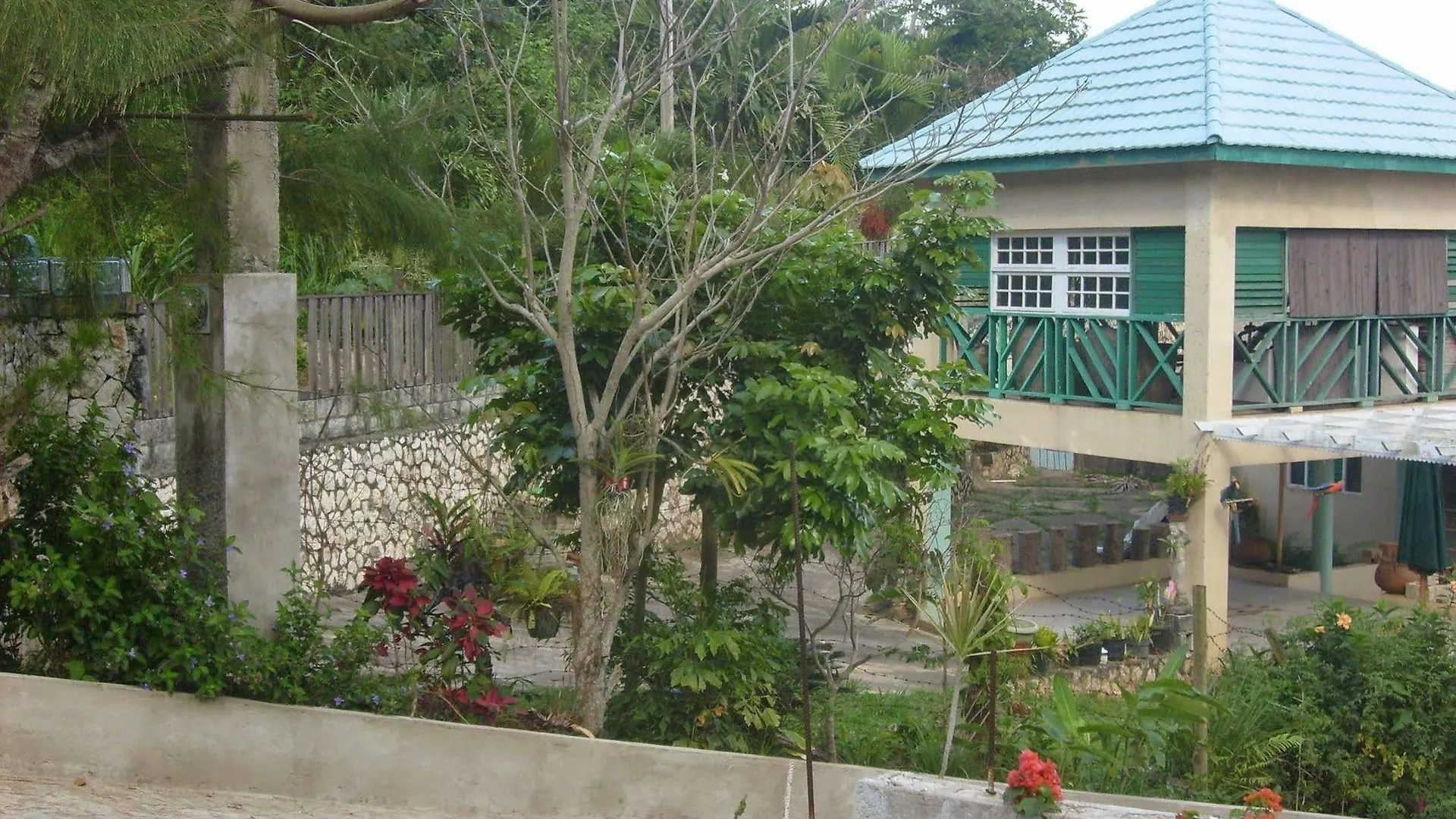Naturesview Castle B&B キングストン ホテル